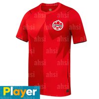 Men home player