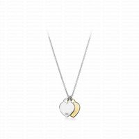 Silver / Gold