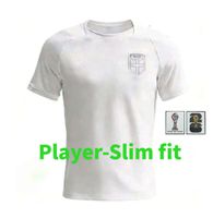 2026 Third Player+patch