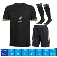 25/26 Golden Cup kit socks